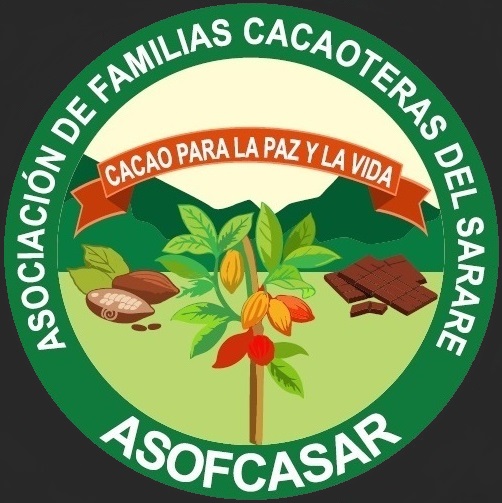 Granos de Cacao Seco