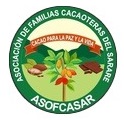 Logo ASOFCASAR